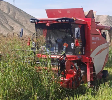 華豐草業(yè)豐收啦！機(jī)械轟鳴田間，草種安全入倉
